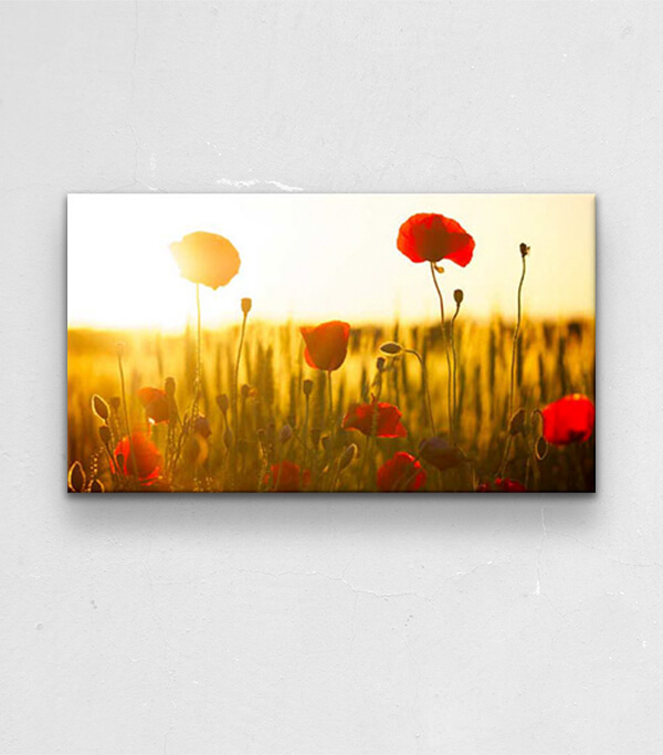Tablouri canvas cu flori